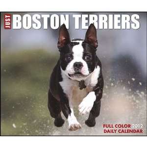  Boston Terriers 2012 Daily Box Calendar 6 X 5 Office 