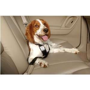  TDISC Small Car Harness for Dogs 10 30 lbs Kitchen 
