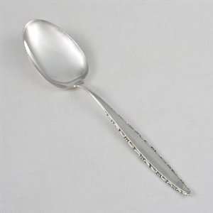  Lace Point by Lunt, Sterling Dessert Place Spoon Kitchen 