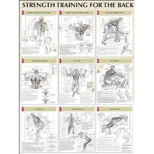  Back Workout Poster