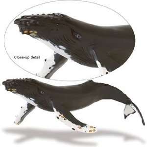    Safari 210002 Humpback Whale Animal Figure  Pack of 2 Toys & Games