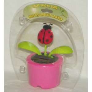  Solar Dancing LADYBUG   Pink Pot (Bubble Package 