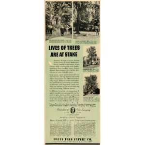  1940 Ad Davey Tree Surgery Feeding Landscaping Foliage 