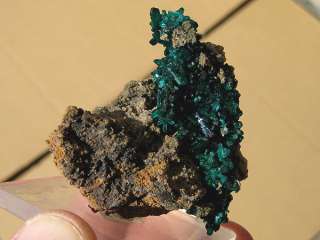   brilliantly colored dioptase exhibiting great luster from the sanda