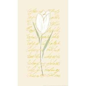  White Tulip    Print