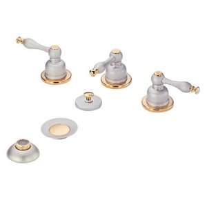   Bidet Faucet with Built In Diverters, Satin Nickel with Polished Brass