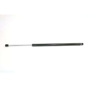  StrongArm 6124 Chrysler Town Liftgate Powered Lift Support 