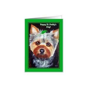  Happy St. Patricks Day ~ Yorkshire Terrier Dog Card 