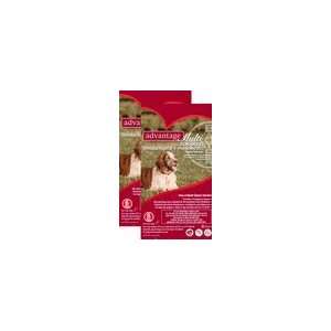  12 MONTH Advantage MULTI Red For Dogs 20.1 55 lbs. Pet 