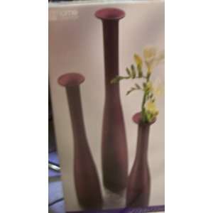  Colin Cowie Azzio Set of 3 Amethyst Vases Jc Penney