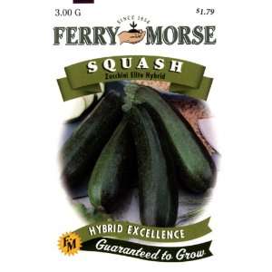  Ferry Morse Seeds 1751 Squash   Zucchini Elite Hybrid 3 