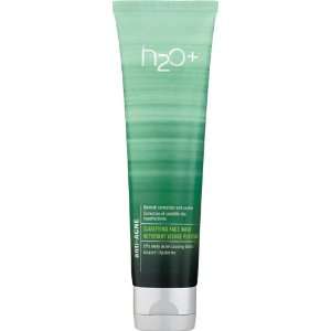  H2O Plus Anti Acne Clarifying Face Wash Beauty
