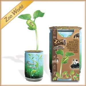 Zoo World Plant   that sprouts to reveal an engraved 