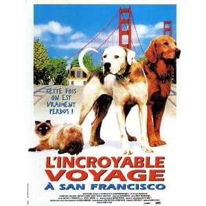  Homeward Bound 2 Lost in San Francisco Poster Movie 