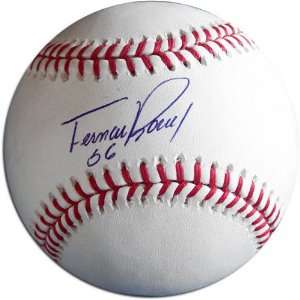 Fernando Rodney Autographed Baseball 