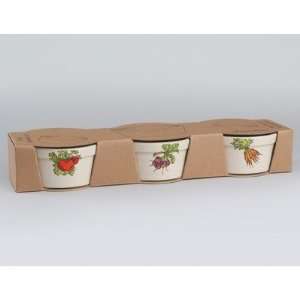    Farmers Market Veggie Ramekins (Set of 3)