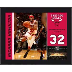   Hamilton Sublimated 10x13 Plaque  Details Chicago Bulls Sports