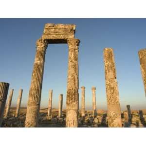 Archaelogical Site, Apamea (Qalat at Al Mudiq), Syria, Middle East 