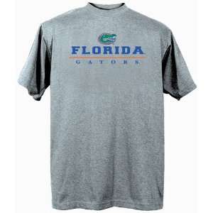  Florida Embroidered T Shirt (Grey)