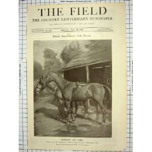  1921 ROSEMARY SNIPE INTERNATIONAL POLO PONIES HORSES