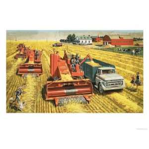  Combine Harvesters Harvest Wheat on the Vast Plains of 