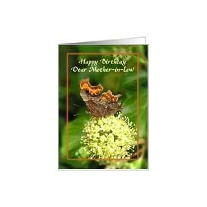  Mother In Law Birthday   Comma Butterfly Card Health 
