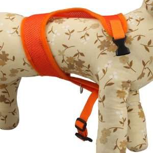  New Pet Dog Vehicle Safety Mesh Harness Orange Extra XL 