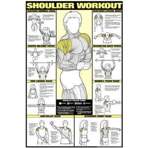 Co ed Shoulder Workout 24 X 36 Laminated Chart Sports 