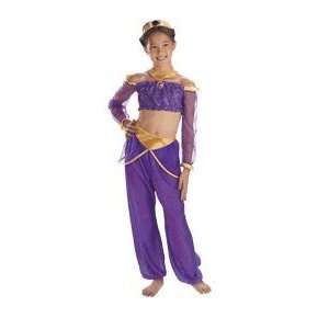  Disney Princess Jasmine Deluxe Child Halloween Costume 