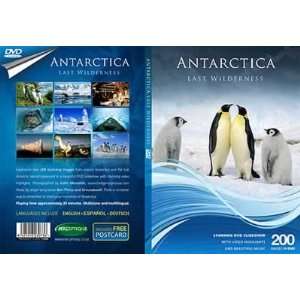  Antarctica Last Wilderness DVD Electronics