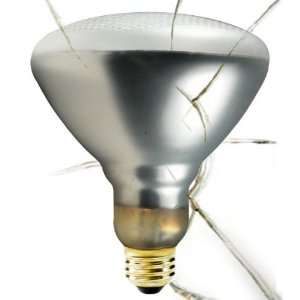  Shatter Resistant   75 Watt Light Bulb   BR38   Shatter 