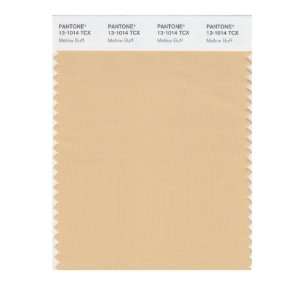  PANTONE SMART 13 1014X Color Swatch Card, Mellow Buff 