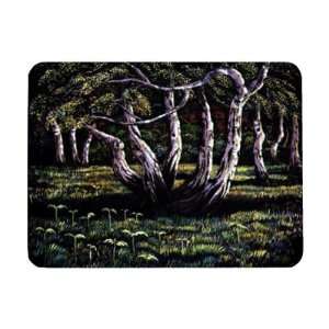  Silver Birch Trees, 1988 by Liz Wright   iPad Cover 