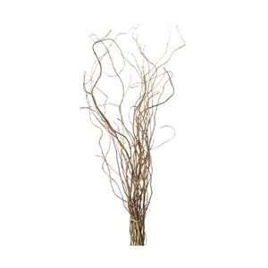  Curly Willow Branches, 4 5 feet tall (10 Bunches) Arts 