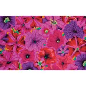 Philip Jacobs PETUNIAS Pink PWPJ050 Fabric Westminster Fibers By the 