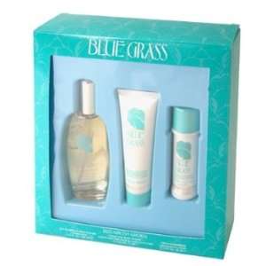  Blue Grass by Elizabeth Arden for Women, Gift Set Beauty