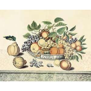  Primitive Fruit Canv    Print