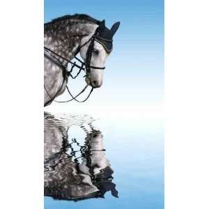  Dapple gray Horse   Peel and Stick Wall Decal by 
