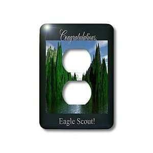  Turner Eagle Scout Design   Congratulations Eagle Scout, Bald Eagle 