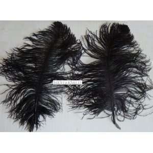 Ostrich~5 Mini Wing Ostrich Plumes BLACK Ostrich Feather 10 13 Long 