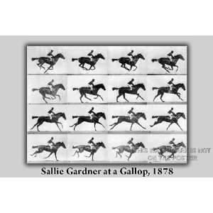  Sallie Gardner at a Gallop, 1878   24x36 Poster 