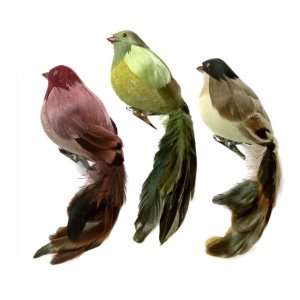 Club Pack of 12 Long Tail Chichadee Clip on Bird Christmas Ornaments 8 