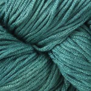  Araucania Ruca Solid [Regae Green] Arts, Crafts & Sewing