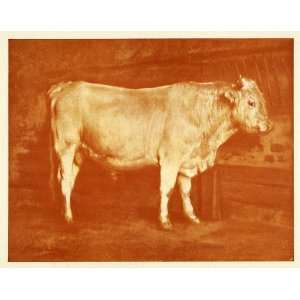 com 1905 Print Rosa Bonheur Female Painter Artist Cow Cattle Portrait 