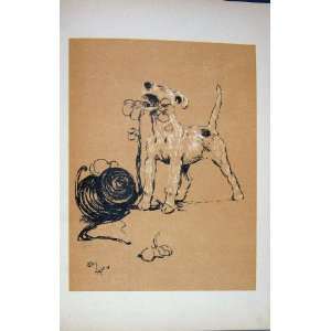  1905 Dog Day Cecil Aldin Terrier Pet Flowers Emanuel
