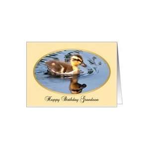    grandson birthday, A baby duck Murrells Inlet SC Card Toys & Games