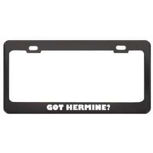 Got Hermine? Girl Name Black Metal License Plate Frame Holder Border 