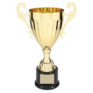  11 1/2 GOLD METAL Cup Trophy