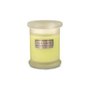  Illume Pineapple Cilantro Candle Classic Jar (Quantity of 