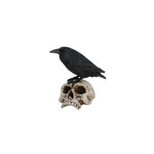  Raven on Skull